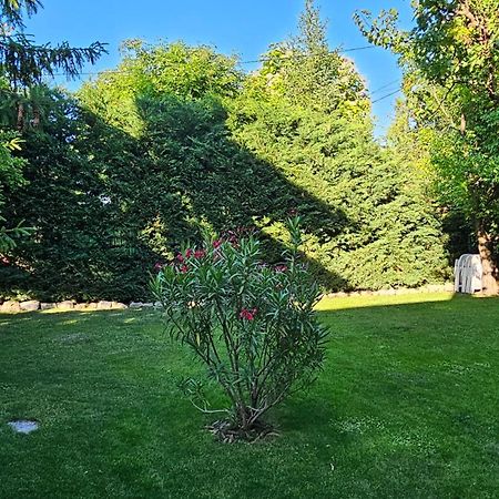 Fuered Deluxe Garden Apartment Balatonfüred Kültér fotó