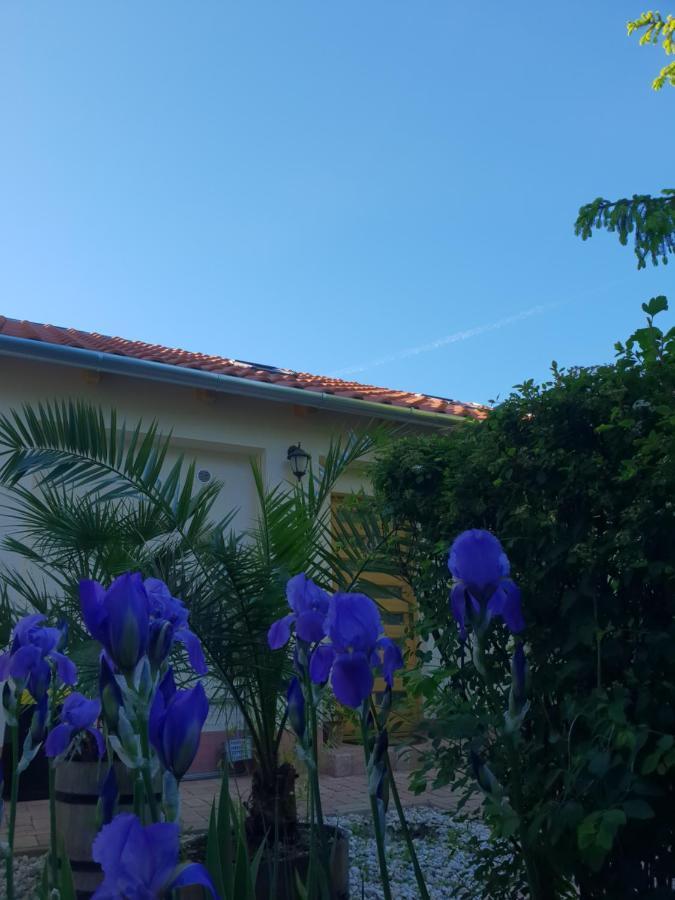 Fuered Deluxe Garden Apartment Balatonfüred Kültér fotó