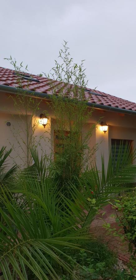 Fuered Deluxe Garden Apartment Balatonfüred Kültér fotó